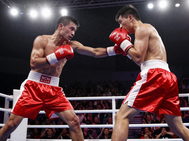 What is the #1 Fighting Game? Boxing vs. MMA in 2026